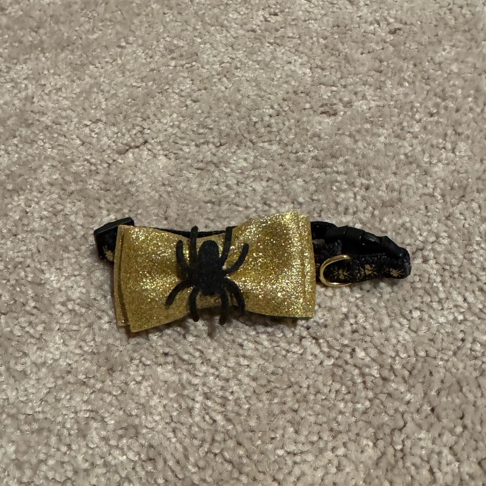 PetSmart Dog Collar